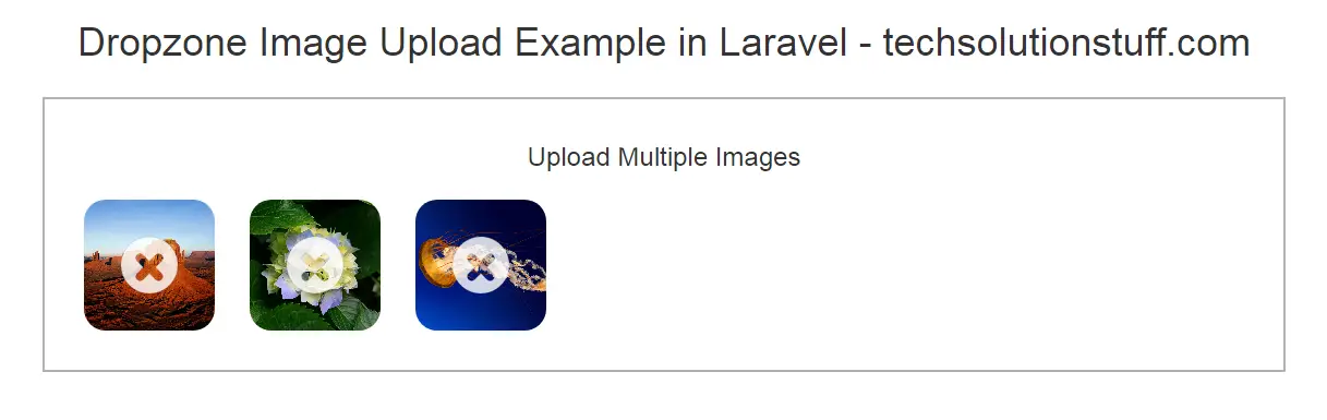 Dropzone Image Upload In Laravel