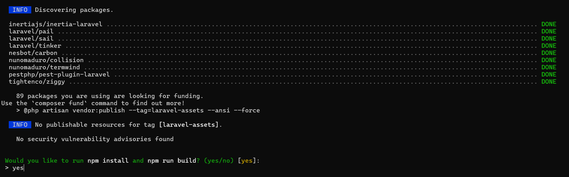 laravel-12-npm-install